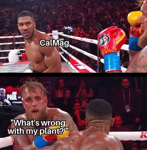 My Weed is Trash, but Memes are good. Week 0