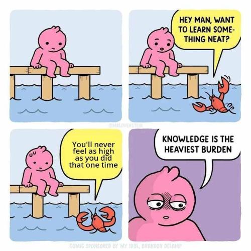 My Weed is Trash, but Memes are good. Week 0