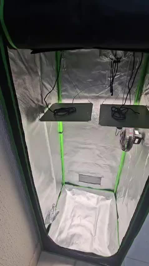 Original Northern Lights Auto