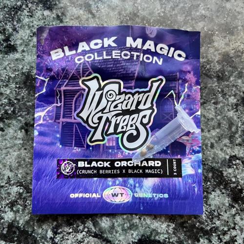 Black Orchard. Week 0