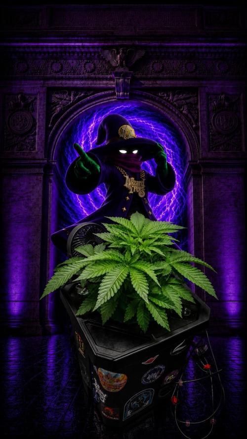 Black Orchard - Wizard trees. Week 4