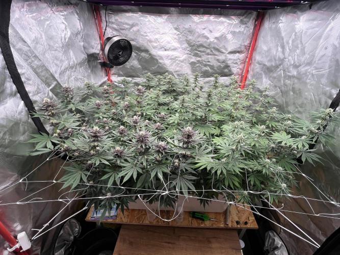 Hydro. Week 9