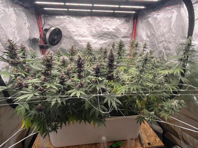 Hydro. Week 10
