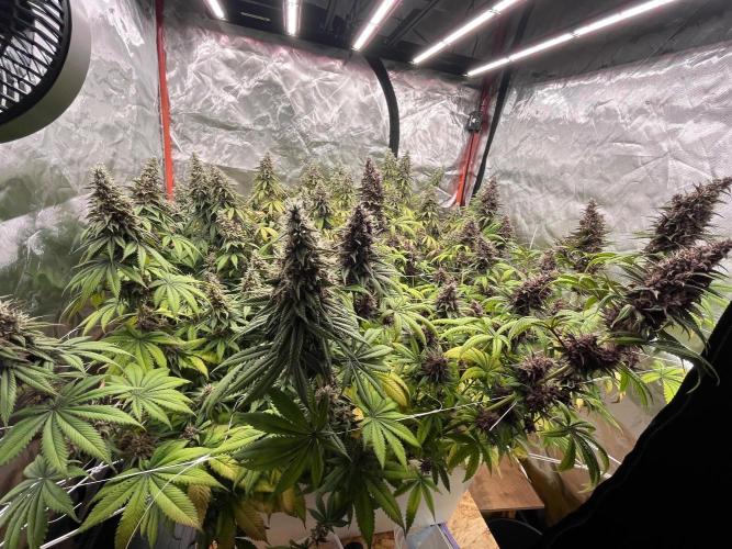 Hydro. Week 12