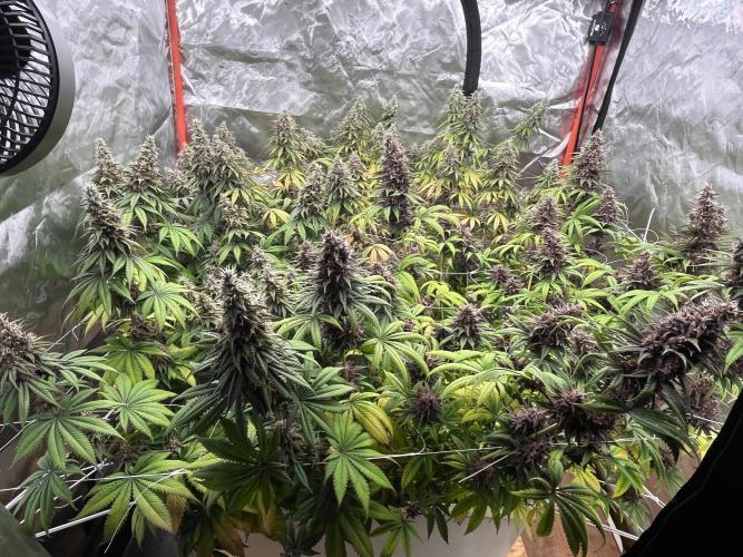 Hydro. Week 12