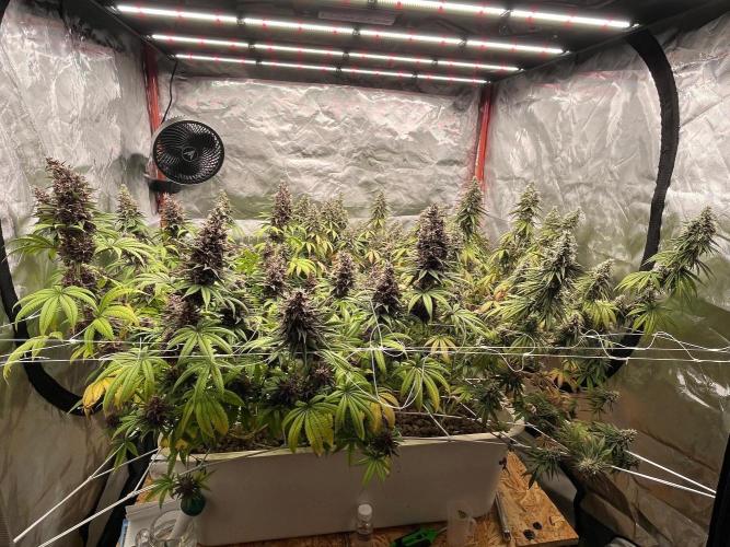 Hydro. Week 12