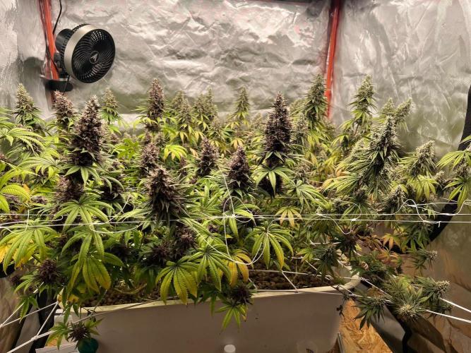 Hydro. Week 12
