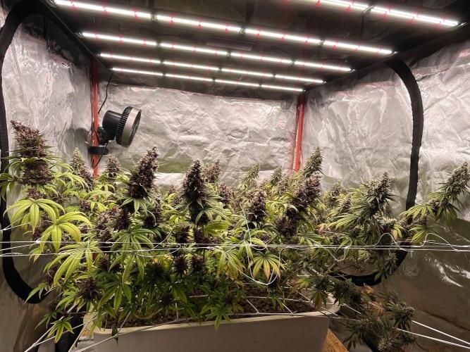 Hydro. Week 13