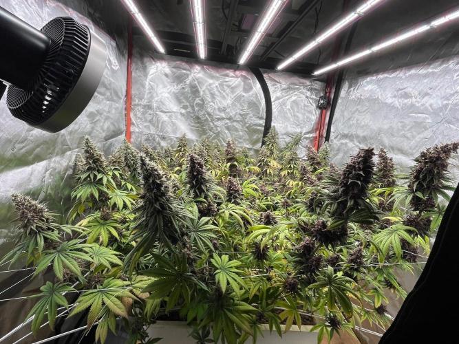 Hydro. Week 13