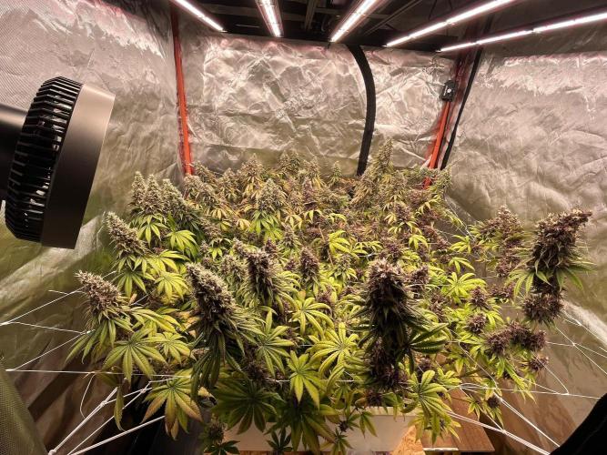 Hydro. Week 14