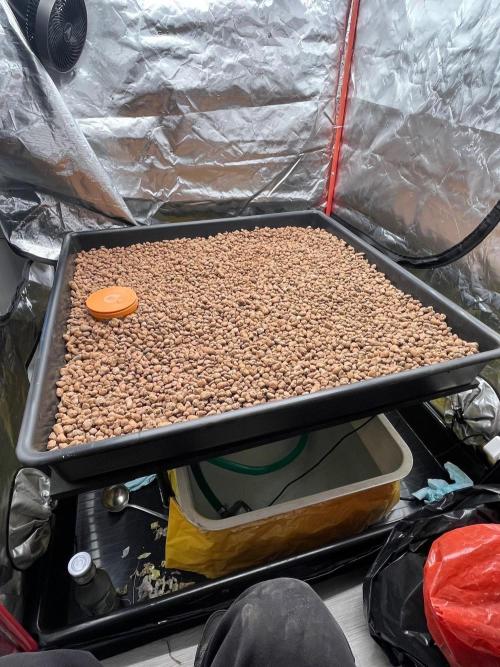 Hydro 2.0. Week 1