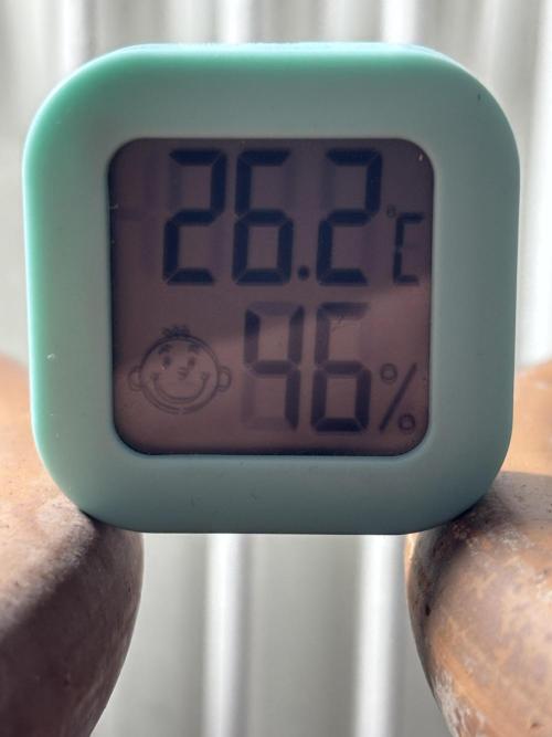 Pineapple Express Automatic. Week 0 - Temperature const. 26 C