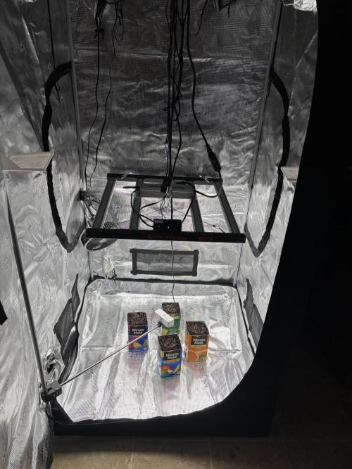 Pico Fast Buds RF3 Mix. Week 0 - On the floor. 