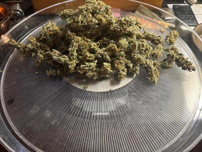 Pico Fast Buds RF3 Mix. Week 10