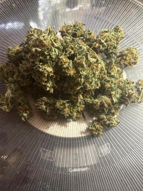 Pico Fast Buds RF3 Mix. Week 10