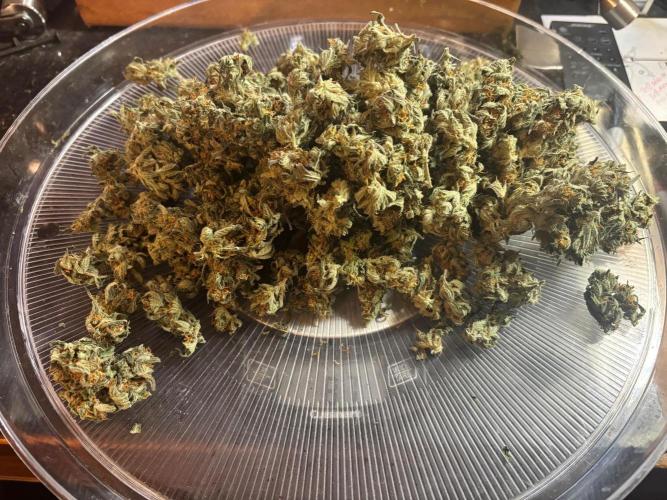 Pico Fast Buds RF3 Mix. Week 10