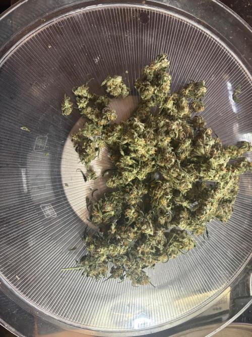 Pico Fast Buds RF3 Mix. Week 10