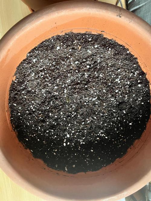 PSA Outdoor Try. Week 0
