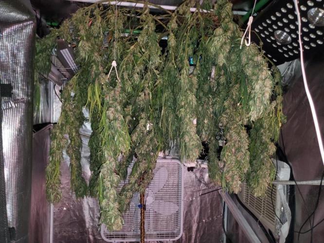 Durban Poison #9. Week 1