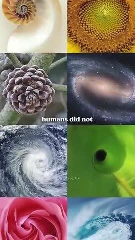 Just Add Water. C#15