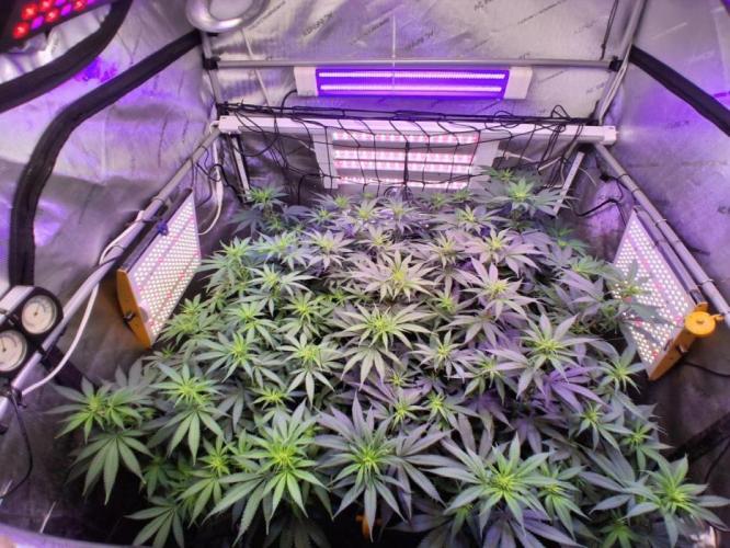 Cloudlab 844 Advance 4x4 48x48x80. Week 7