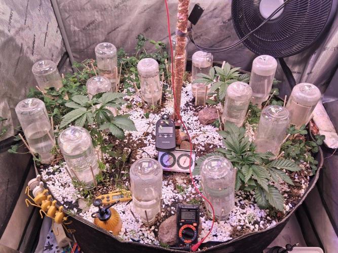 Φsis. Week 3