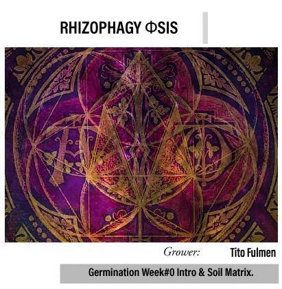 "The Φsis". Week 0
