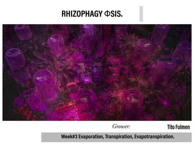 "The Φsis". Week 3