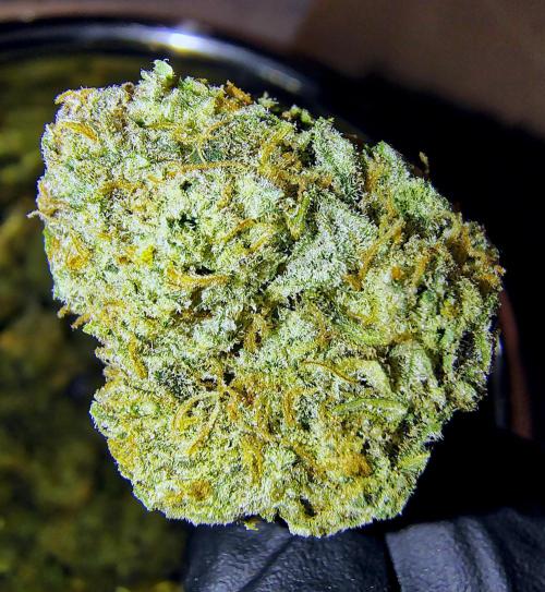 Sour Kush (SSKush) - QCS. Week 13 - post trim bud