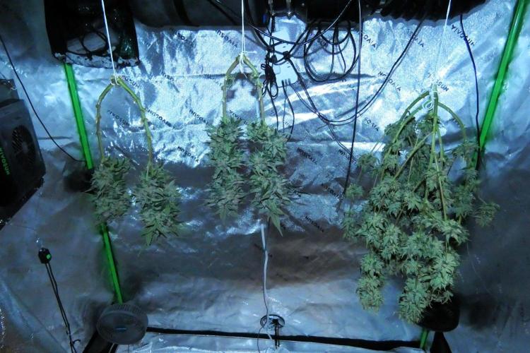 Four Banger. Week 13