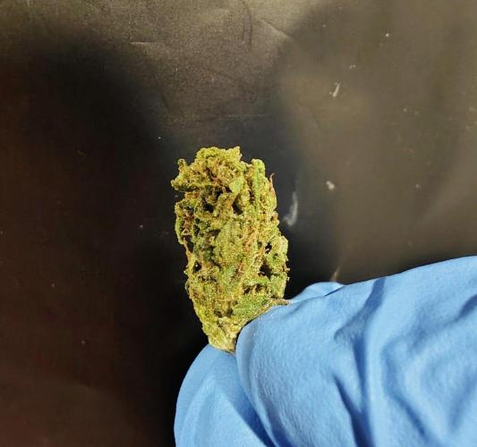 Dragon Punch 🐉👊🍒. Week 22 - super tiny nuggies lol. Still packs a decent punch.