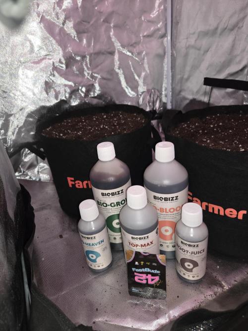 69's Purple Banana Punch. Week 0 - Starter Set