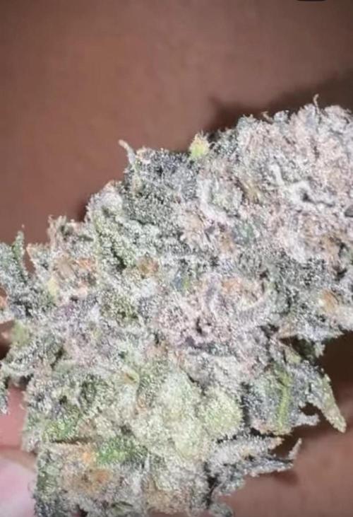 Lcr x Sugar rim. Week 11