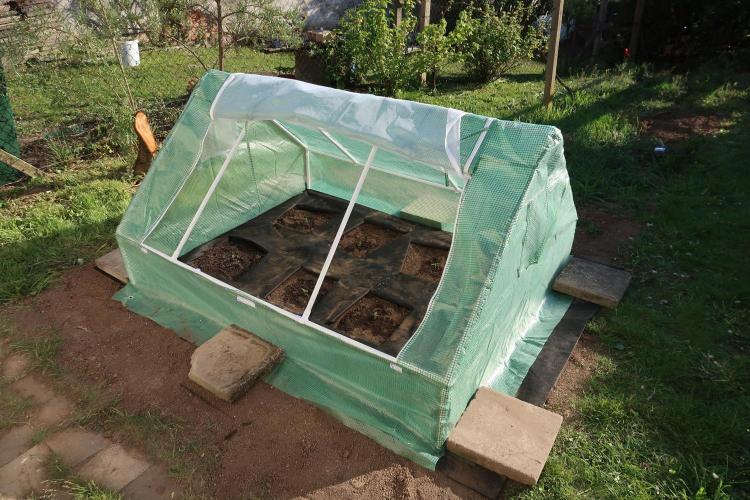 South Moravian outdoor garden 2026. Week 2