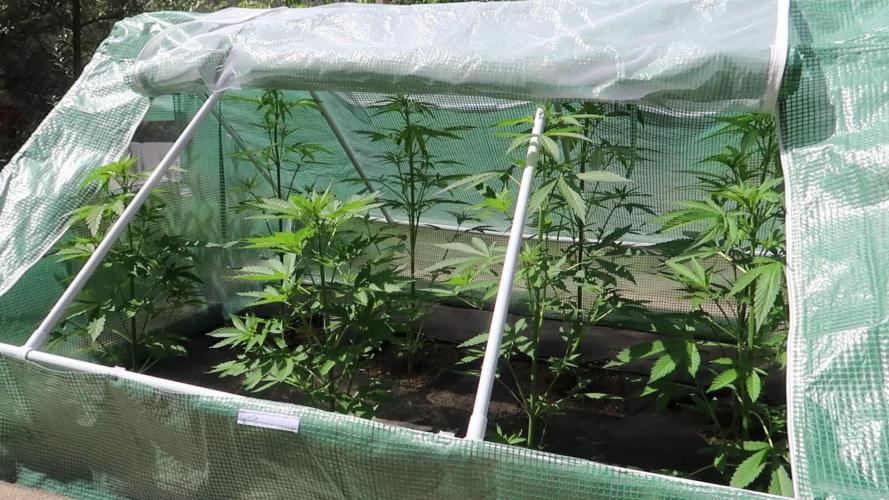 South Moravian outdoor garden 2026