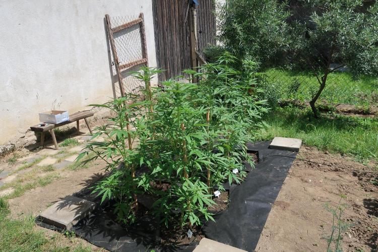 South Moravian outdoor garden 2026. Week 7