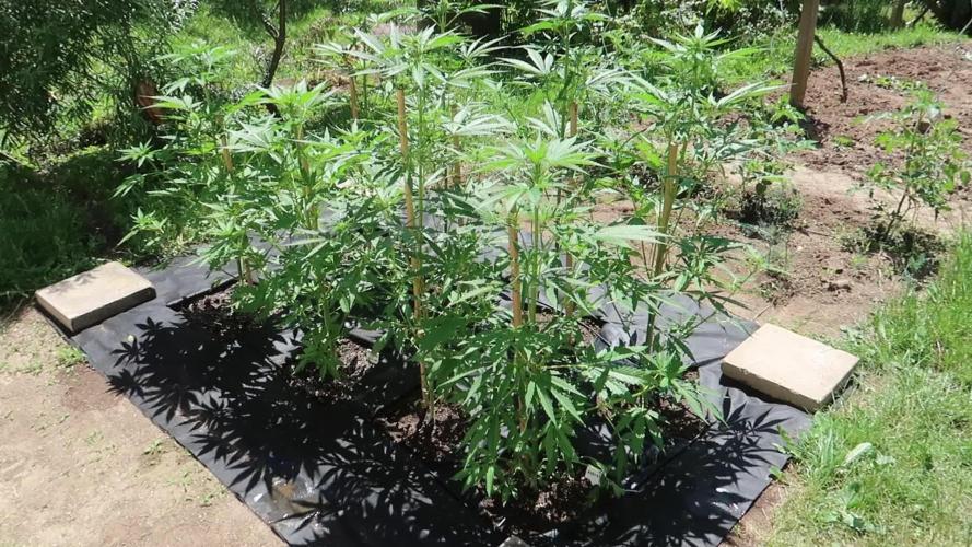 South Moravian outdoor garden 2026