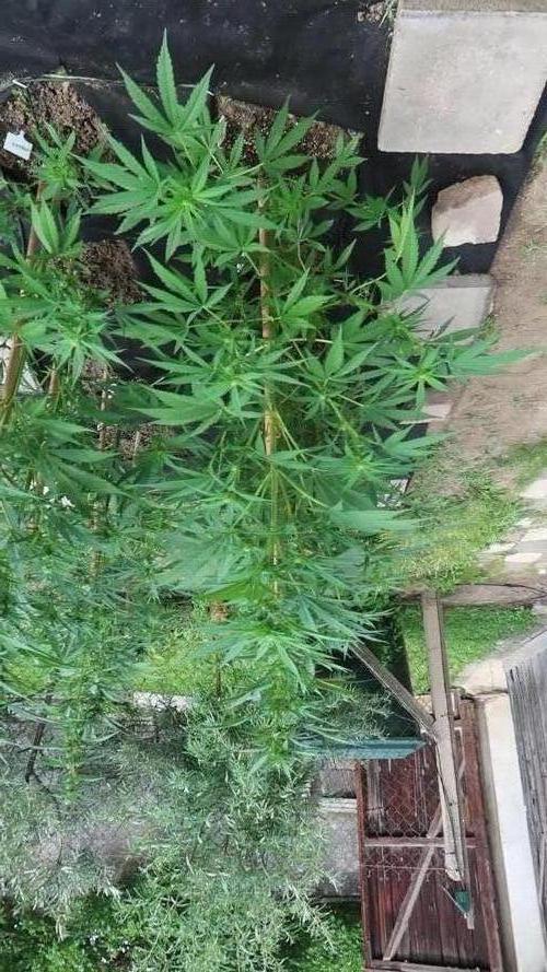 South Moravian outdoor garden 2026