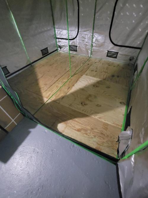 Beginning 10x10. Week 0 - Installed sub floor 3/4" floor contact treated plywood
