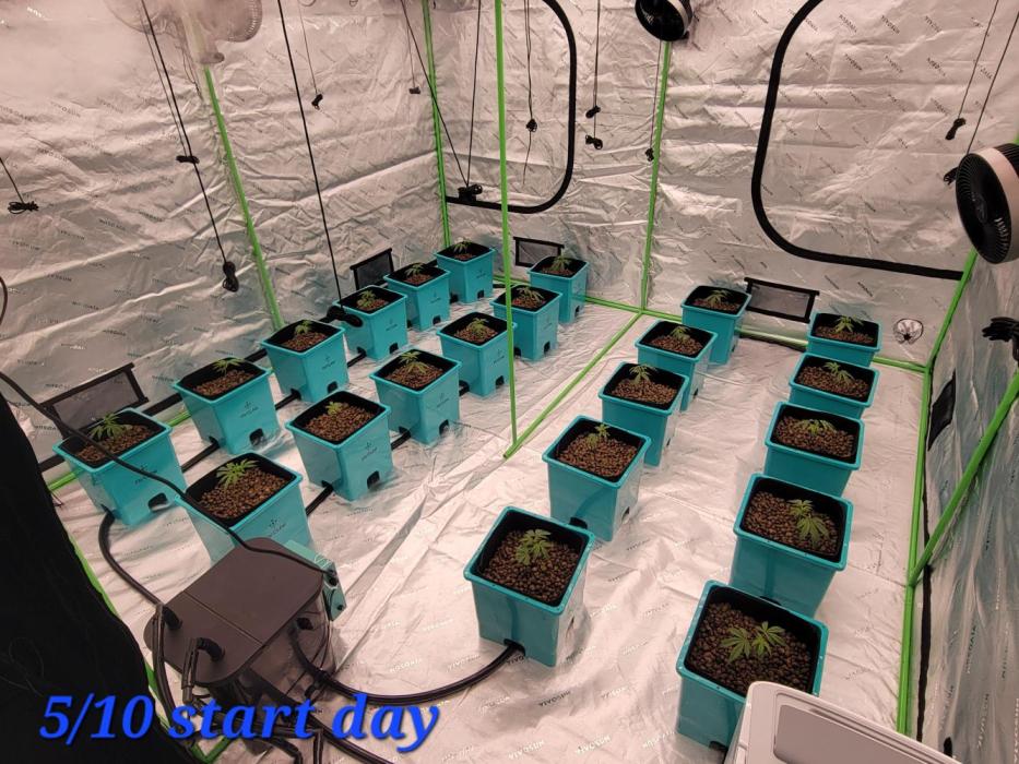 First run in new setup. Week 1 - First day in buckets 
