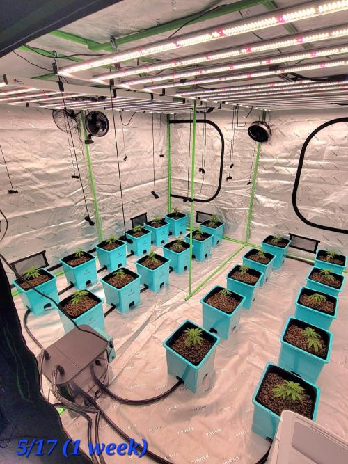 First run in new setup. Week 2