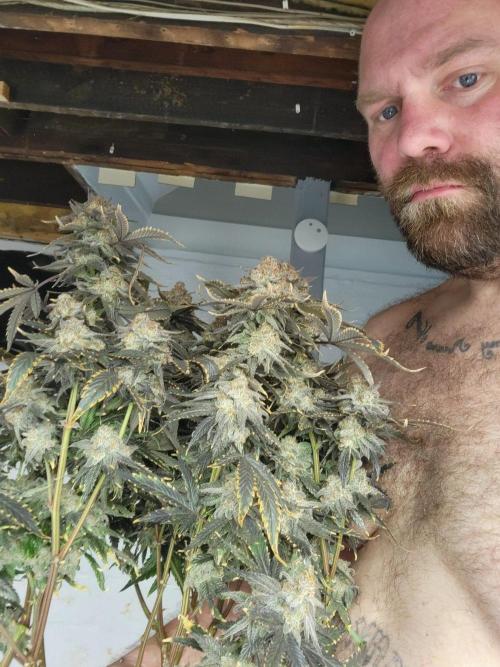 First run in new setup. Week 15 - Smallest of my girls