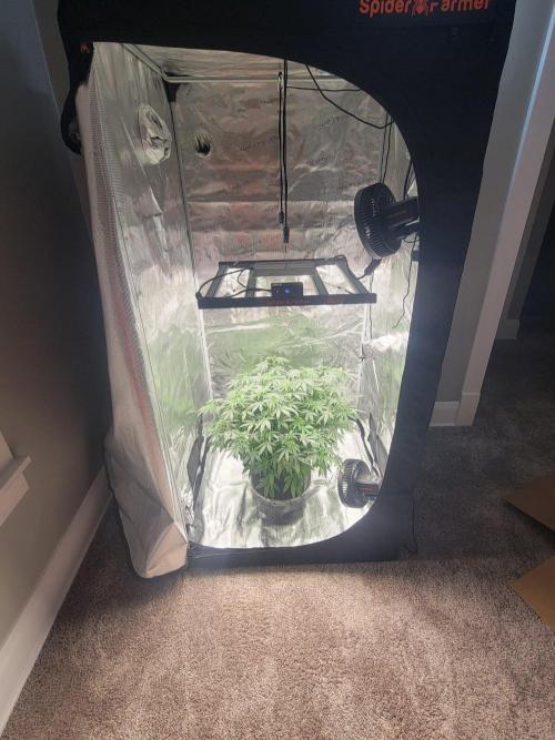 New 3x3 first run. Week 10 - Placed new fans and set her in