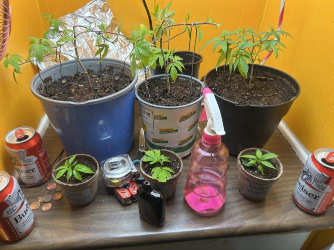 3 clones. Week 1 - Group pic