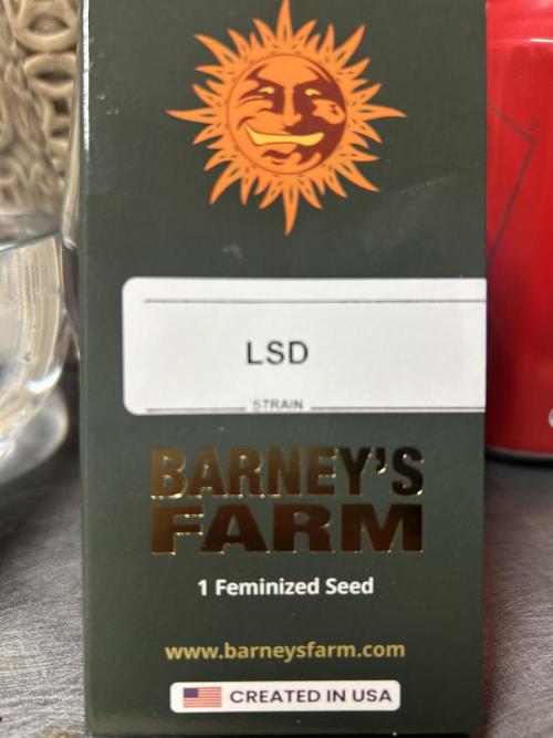 LSD Feminized. Week 0