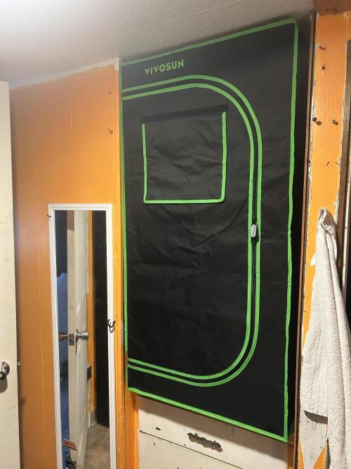 Grow Tent P224 24"x24"x48". Week 1