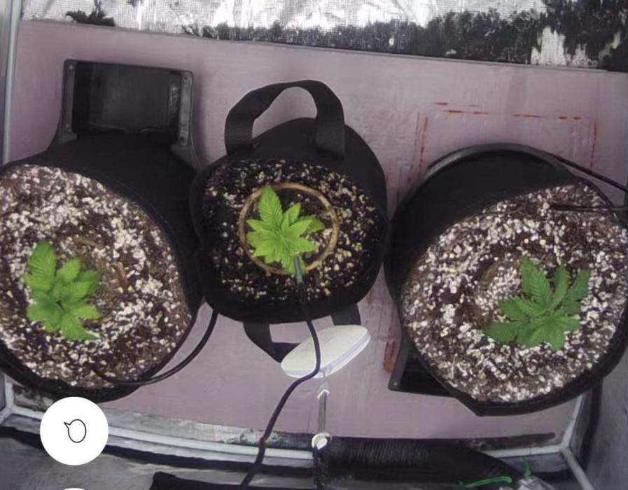 Indoor Ocifer. Week 3
