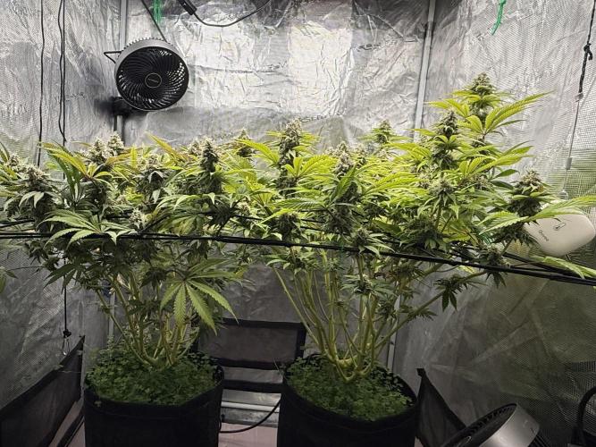 Indoor Ocifer. Week 14