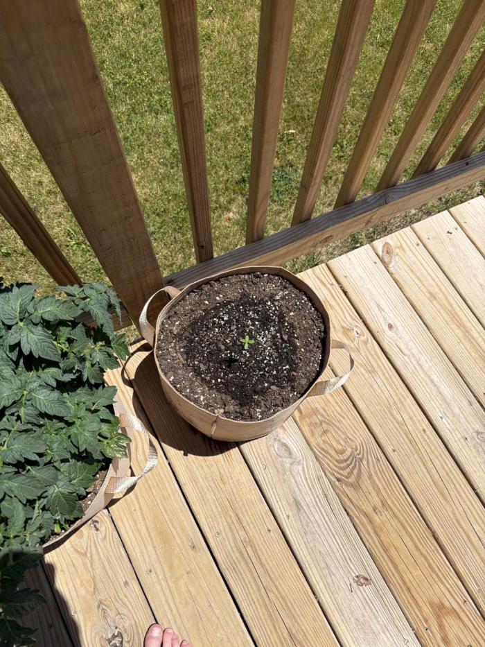 Oh boy. Week 0