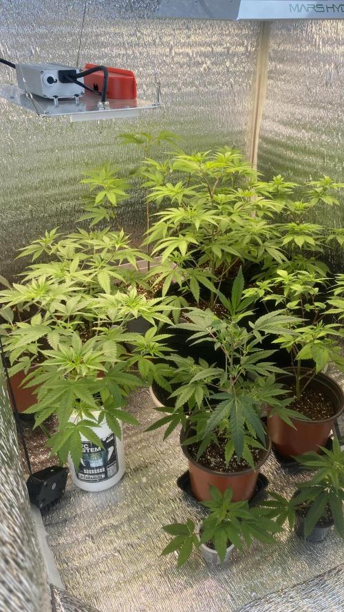 #Neverstopgrowing 2.0. Week 0